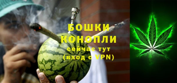 мдпв Богданович