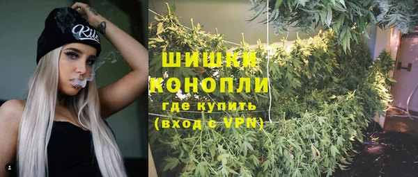 мдпв Богданович