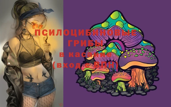 первитин Верея