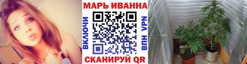 Шишки марихуана VHQ Великий Новгород